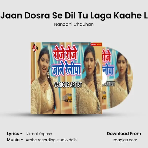 Ae Jaan Dosra Se Dil Tu Laga Kaahe Lela - Nandani Chauhan album cover 