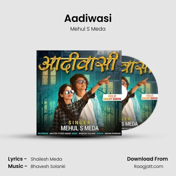 Aadiwasi - Mehul S Meda album cover 