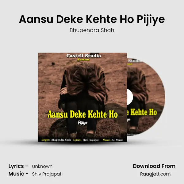 Aansu Deke Kehte Ho Pijiye - Bhupendra Shah mp3 song