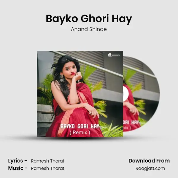 Bayko Ghori Hay - Anand Shinde album cover 