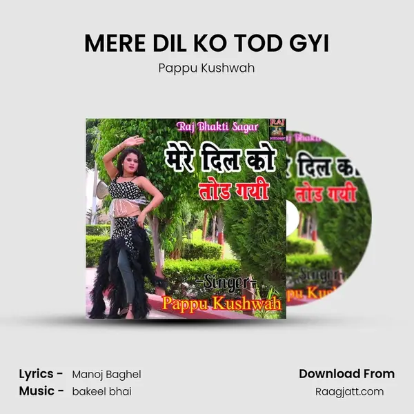 MERE DIL KO TOD GYI - Pappu Kushwah album cover 