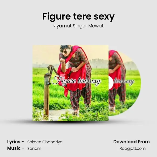 Figure tere sexy - Niyamat Singer Mewati album cover 