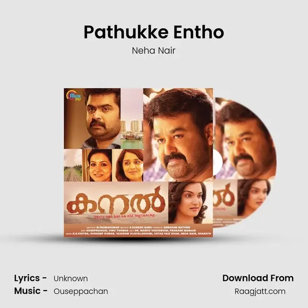 Pathukke Entho - Neha Nair album cover 