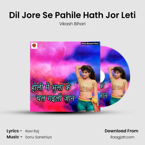 Dil Jore Se Pahile Hath Jor Leti - Vikash Bihari album cover 