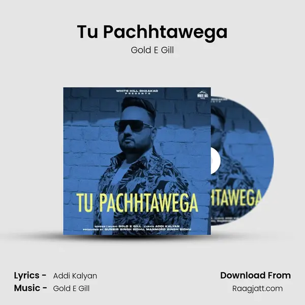 Tu Pachhtawega - Gold E Gill album cover 