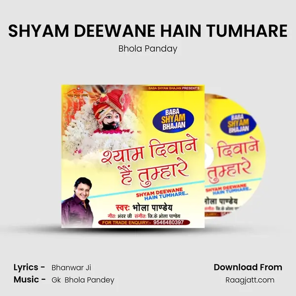 SHYAM DEEWANE HAIN TUMHARE - Bhola Panday mp3 song