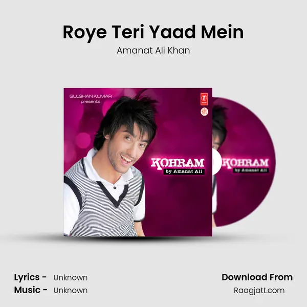 Roye Teri Yaad Mein mp3 song