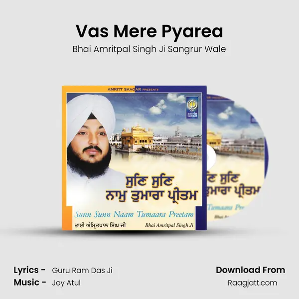 Vas Mere Pyarea mp3 song