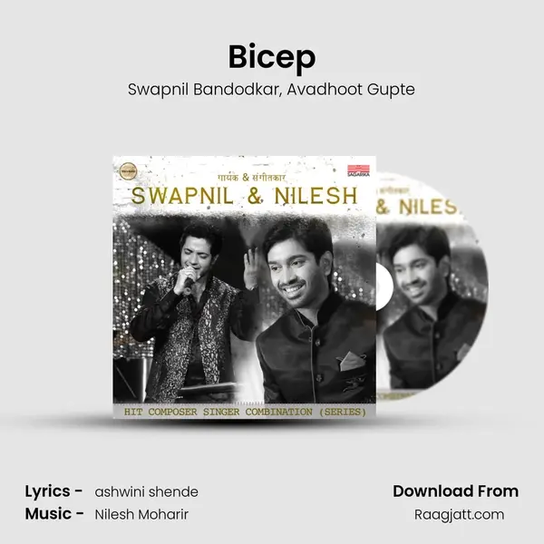 Bicep - Swapnil Bandodkar album cover 