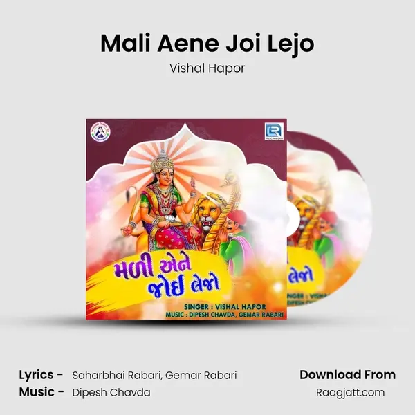 Mali Aene Joi Lejo - Vishal Hapor album cover 