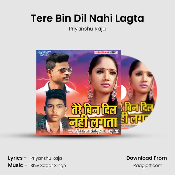 Tere Bin Dil Nahi Lagta mp3 song