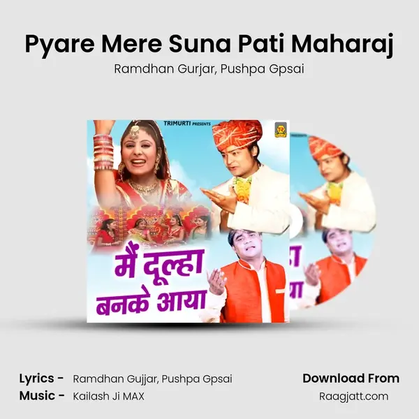 Pyare Mere Suna Pati Maharaj mp3 song