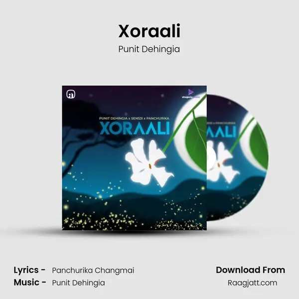 Xoraali - Punit Dehingia album cover 