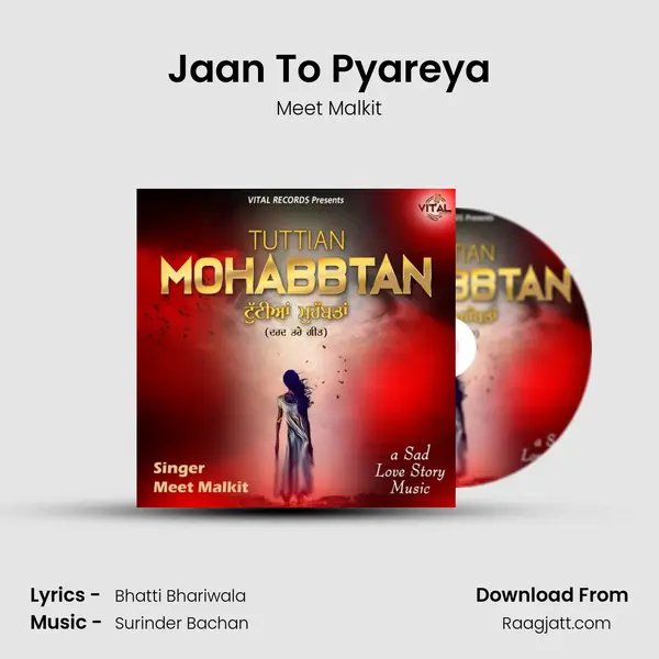 Jaan To Pyareya mp3 song