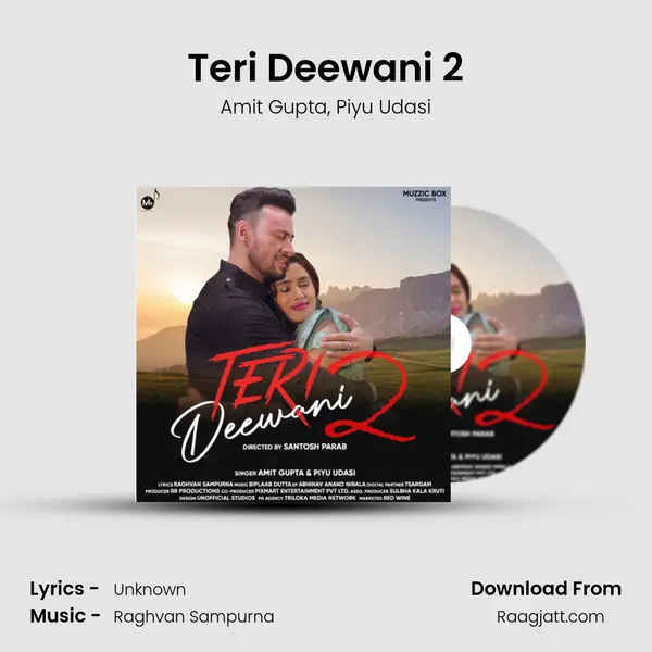 Teri Deewani 2 - Amit Gupta album cover 