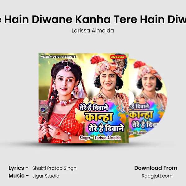 Tere Hain Diwane Kanha Tere Hain Diwane - Larissa Almeida album cover 