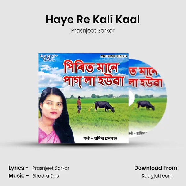 Haye Re Kali Kaal - Prasnjeet Sarkar album cover 