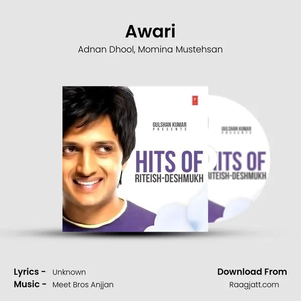 Awari - Adnan Dhool album cover 