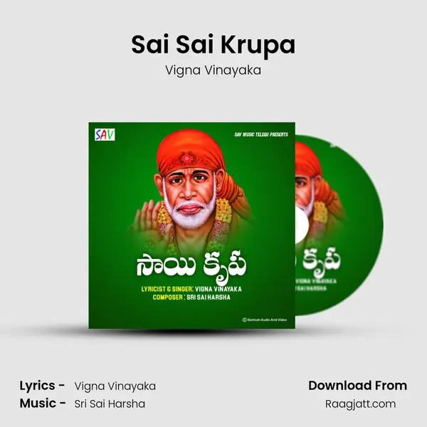 Sai Sai Krupa - Vigna Vinayaka album cover 