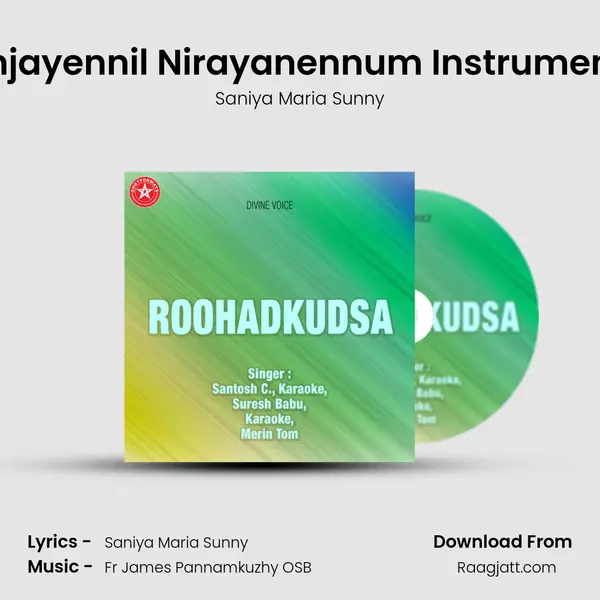 Kunjayennil Nirayanennum Instrumental - Saniya Maria Sunny album cover 