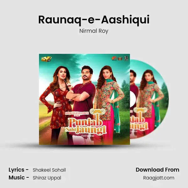 Raunaq-e-Aashiqui mp3 song