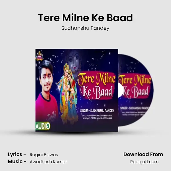 Tere Milne Ke Baad mp3 song