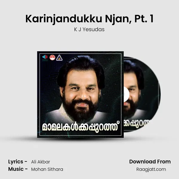 Karinjandukku Njan, Pt. 1 mp3 song