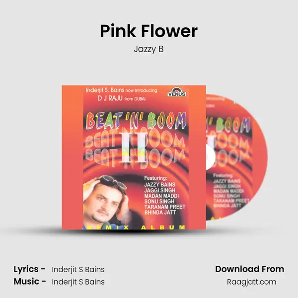 Pink Flower - Jazzy B album cover 