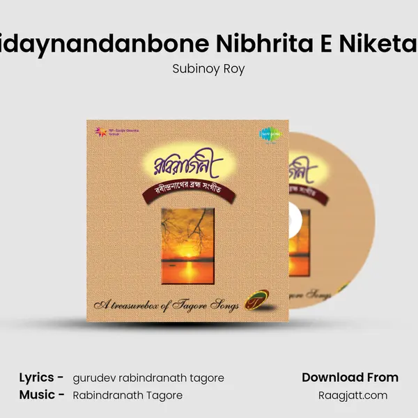 Hridaynandanbone Nibhrita E Niketane - Subinoy Roy album cover 