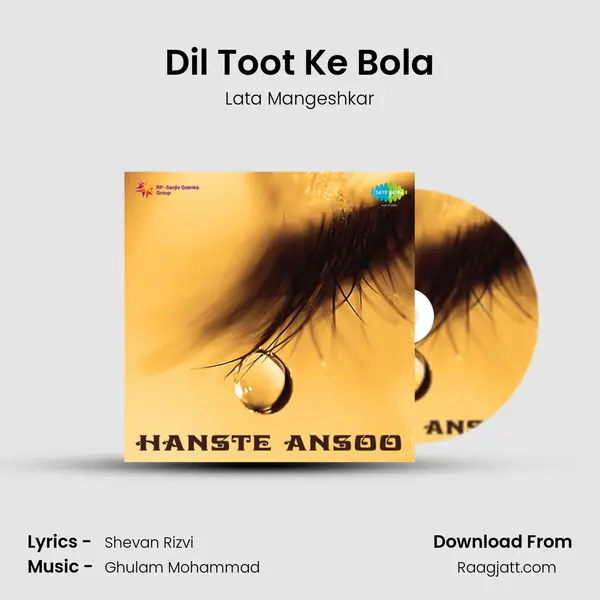 Dil Toot Ke Bola - Lata Mangeshkar album cover 