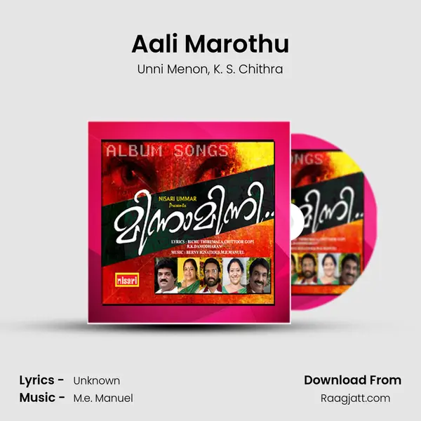 Aali Marothu - Unni Menon album cover 