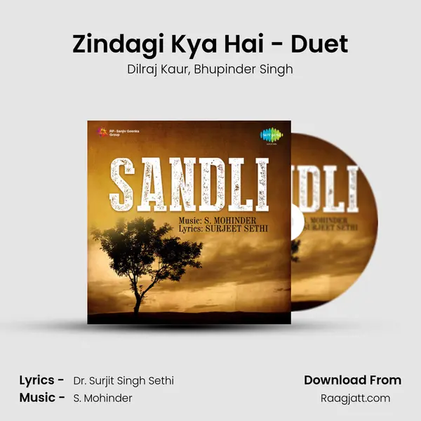 Zindagi Kya Hai - Duet - Dilraj Kaur album cover 