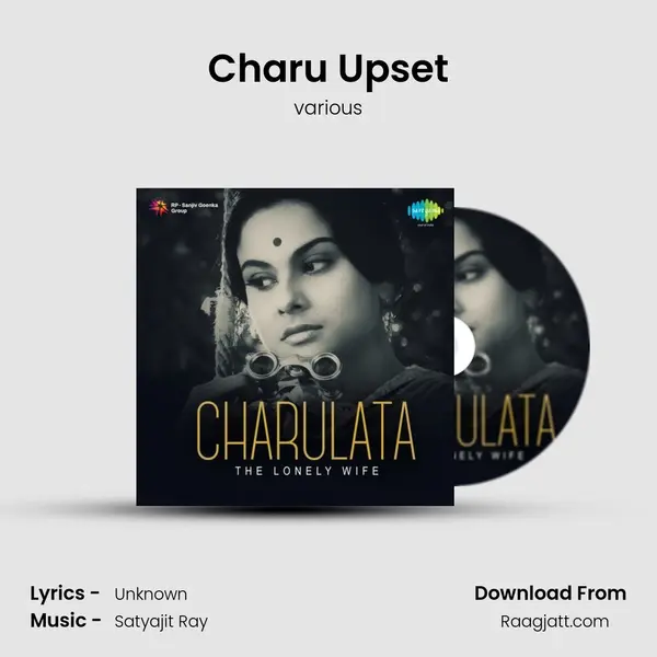 Charu Upset - various album cover 