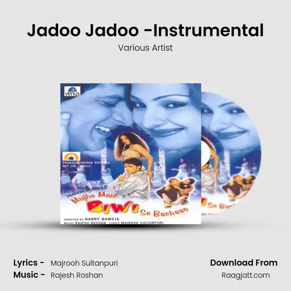 Jadoo Jadoo -Instrumental - Various Artist album cover 