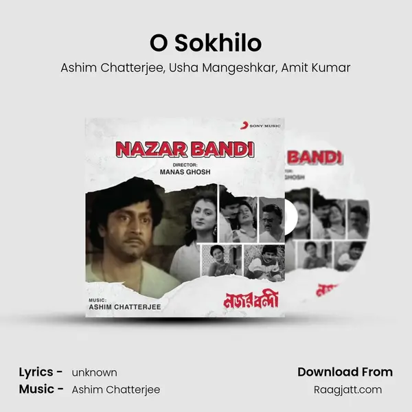 O Sokhilo - Ashim Chatterjee album cover 