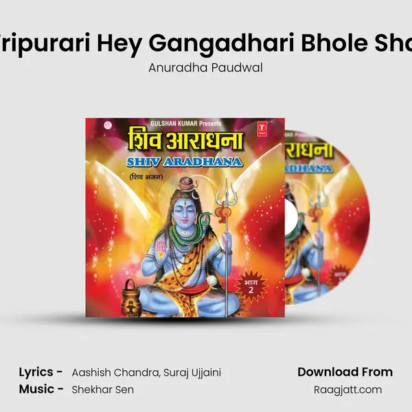 Hey Tripurari Hey Gangadhari Bhole Shankar - Anuradha Paudwal album cover 