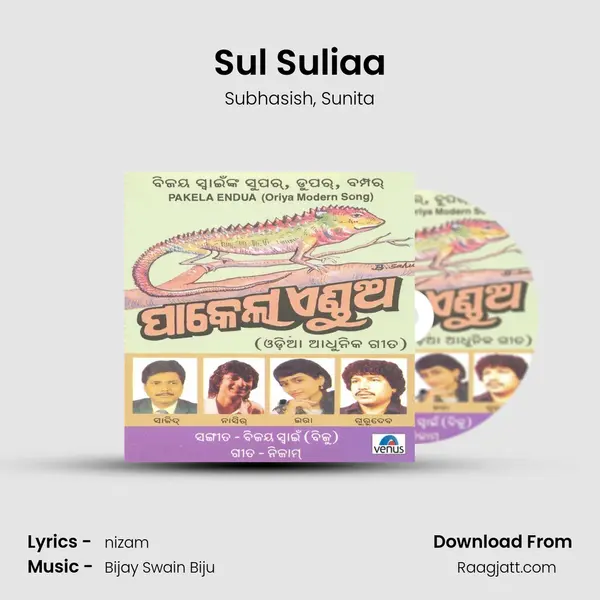 Sul Suliaa - Subhasish album cover 