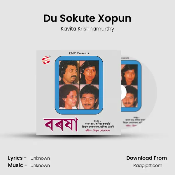 Du Sokute Xopun - Kavita Krishnamurthy mp3 song