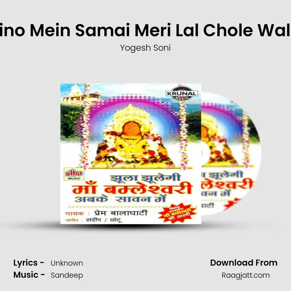 Naino Mein Samai Meri Lal Chole Waliye - Yogesh Soni album cover 