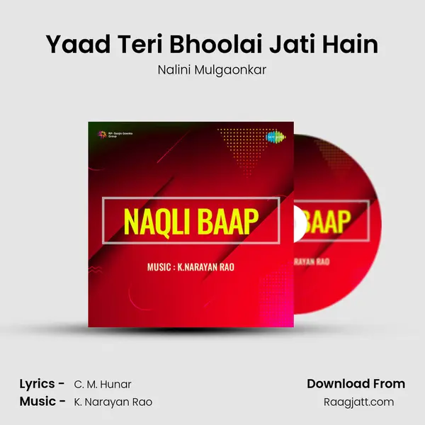 Yaad Teri Bhoolai Jati Hain mp3 song