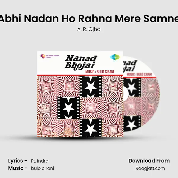 Abhi Nadan Ho Rahna Mere Samne - A. R. Ojha album cover 