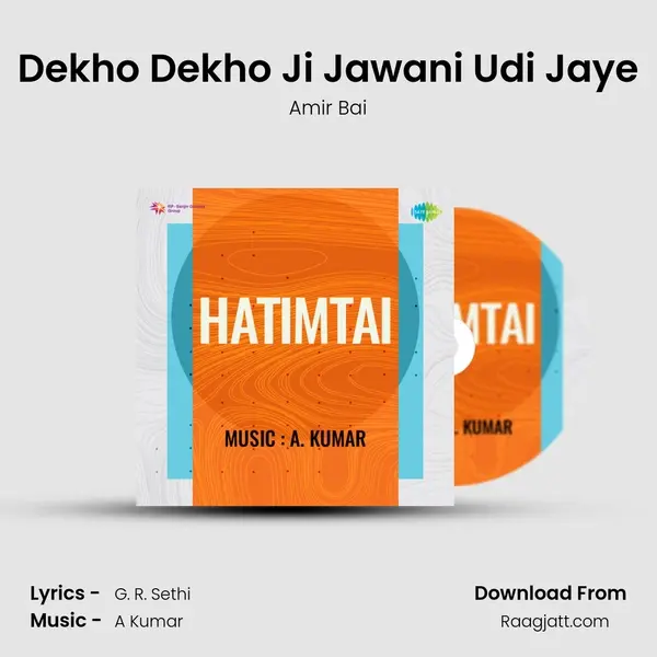 Dekho Dekho Ji Jawani Udi Jaye - Amir Bai album cover 