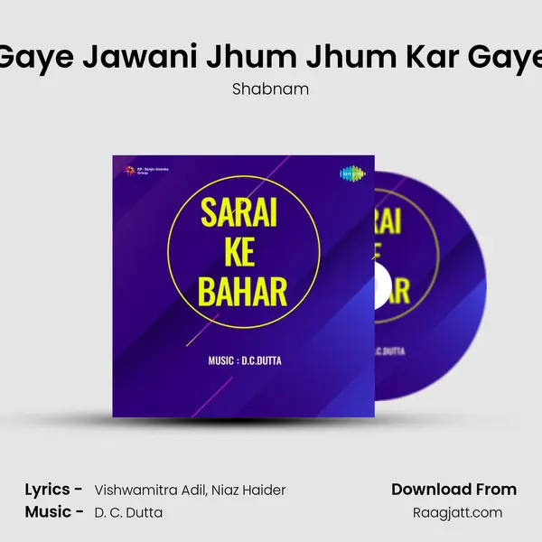 Gaye Jawani Jhum Jhum Kar Gaye - Shabnam album cover 