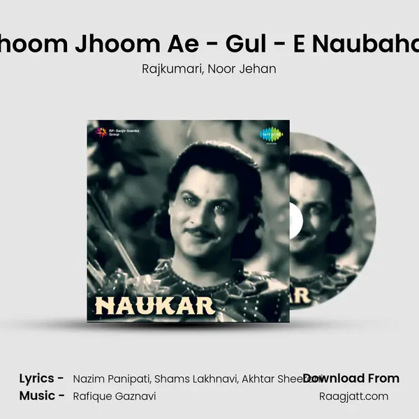 Jhoom Jhoom Ae - Gul - E Naubahar - Rajkumari album cover 