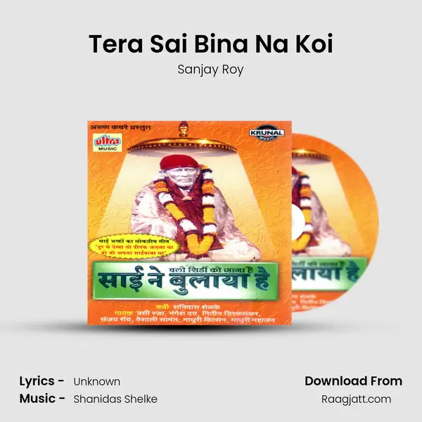 Tera Sai Bina Na Koi - Sanjay Roy album cover 