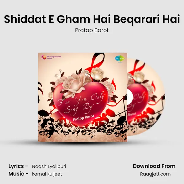 Shiddat E Gham Hai Beqarari Hai mp3 song