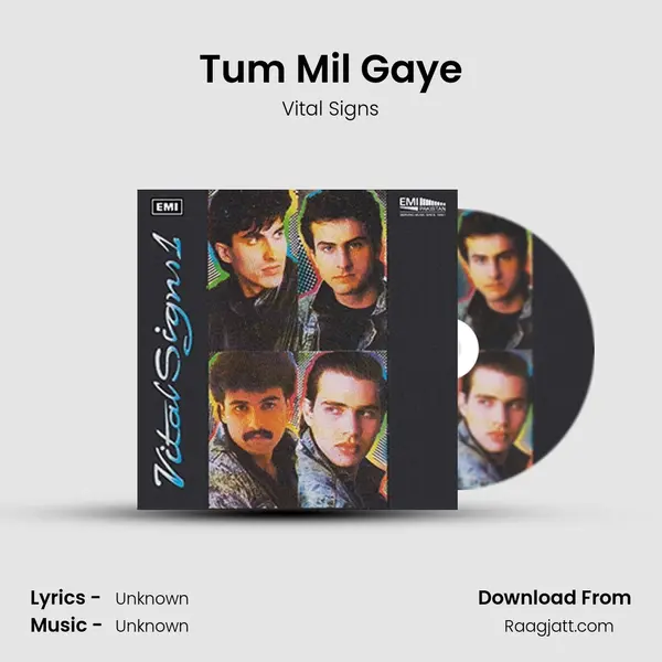 Tum Mil Gaye mp3 song