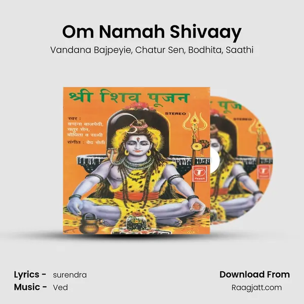 Om Namah Shivaay(Panchachhar Mantra) mp3 song