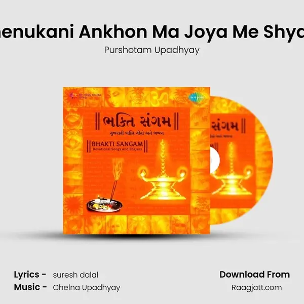 Dhenukani Ankhon Ma Joya Me Shyam mp3 song