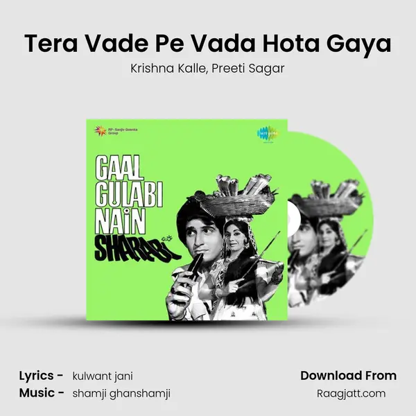 Tera Vade Pe Vada Hota Gaya - Krishna Kalle album cover 